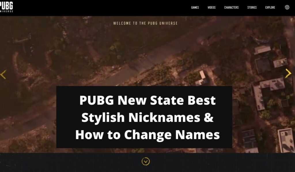 PUBG New State 2021 Best Stylish Nicknames- How to Change name